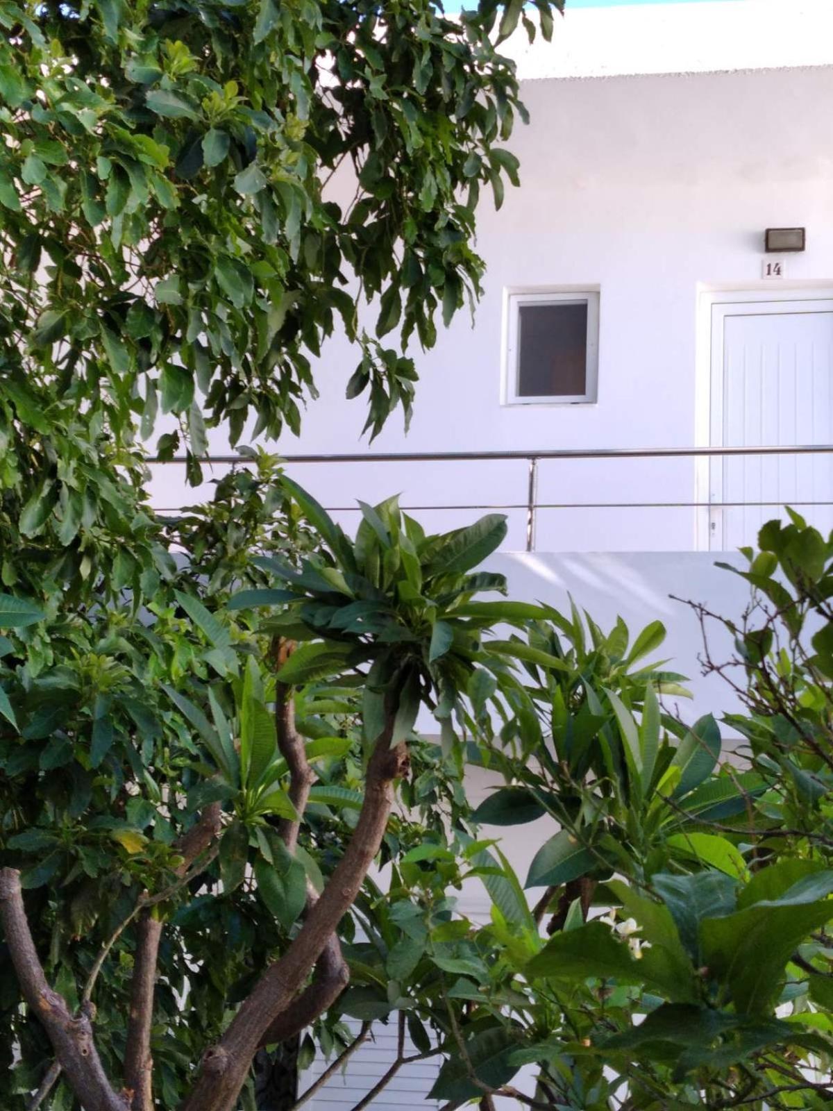 Maria Studios And Apartments Haraki Bagian luar foto