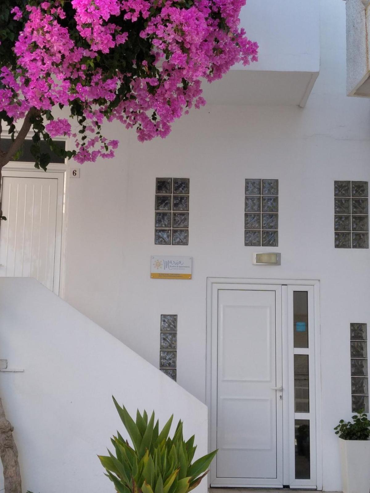 Maria Studios And Apartments Haraki Bagian luar foto
